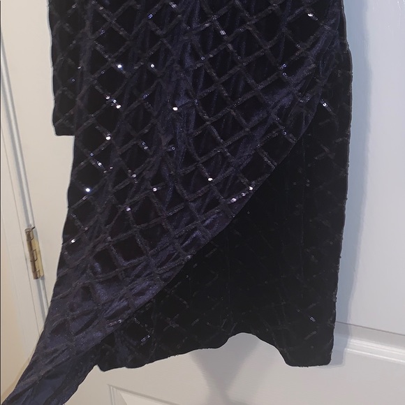 Gorgeous Velvet, Sequin Dress - Picture 8 of 8